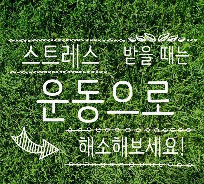 일단와봐유 이미지