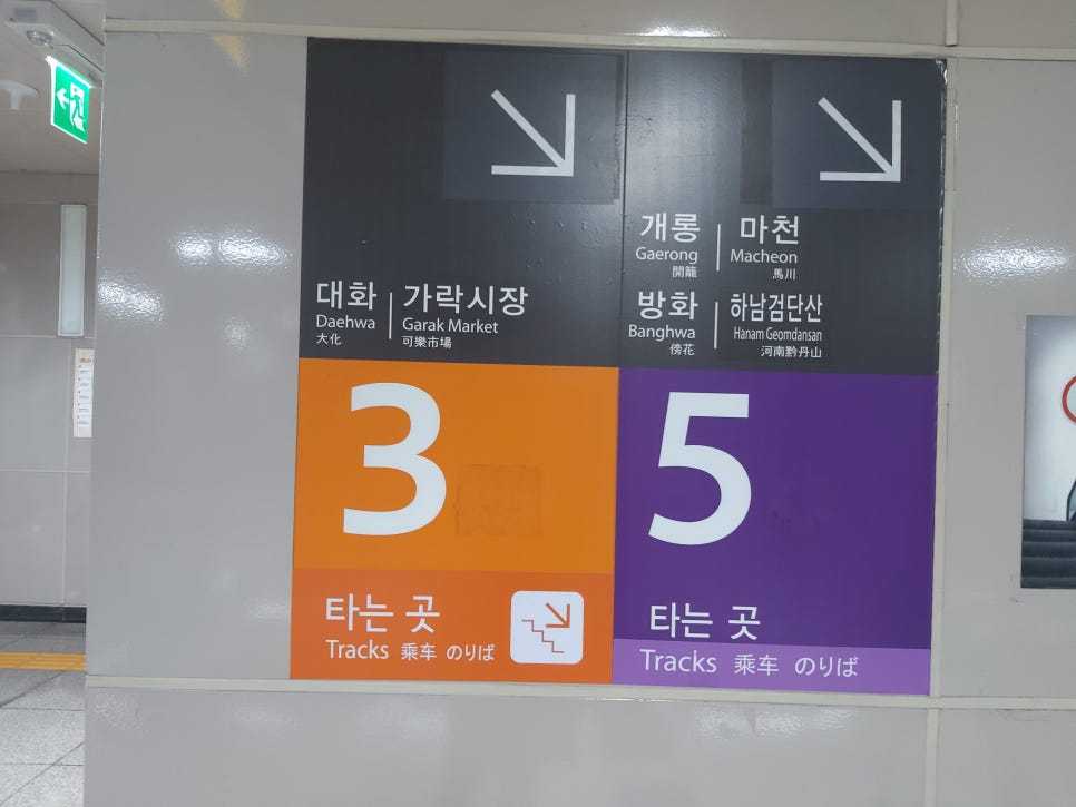오피스나무 이미지