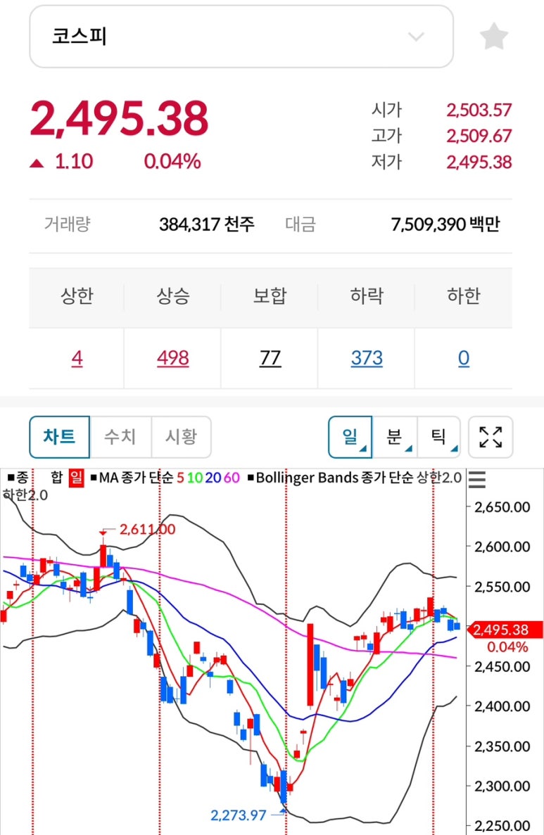 와이지홀딩스 이미지