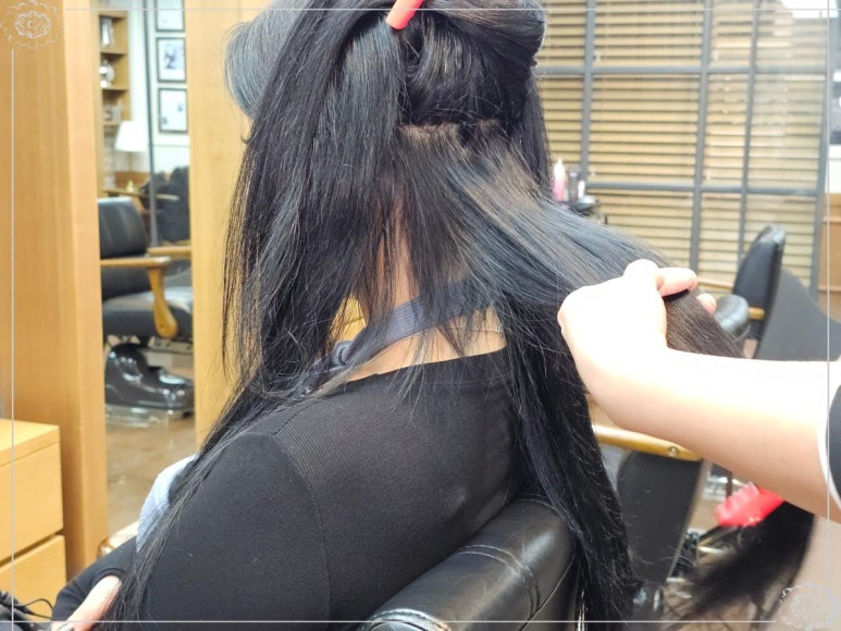 라비에헤어 이미지