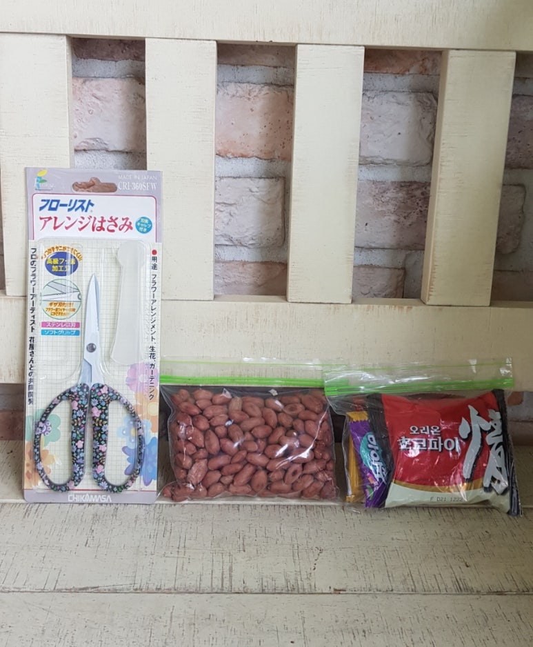 꽃쑤니 이미지