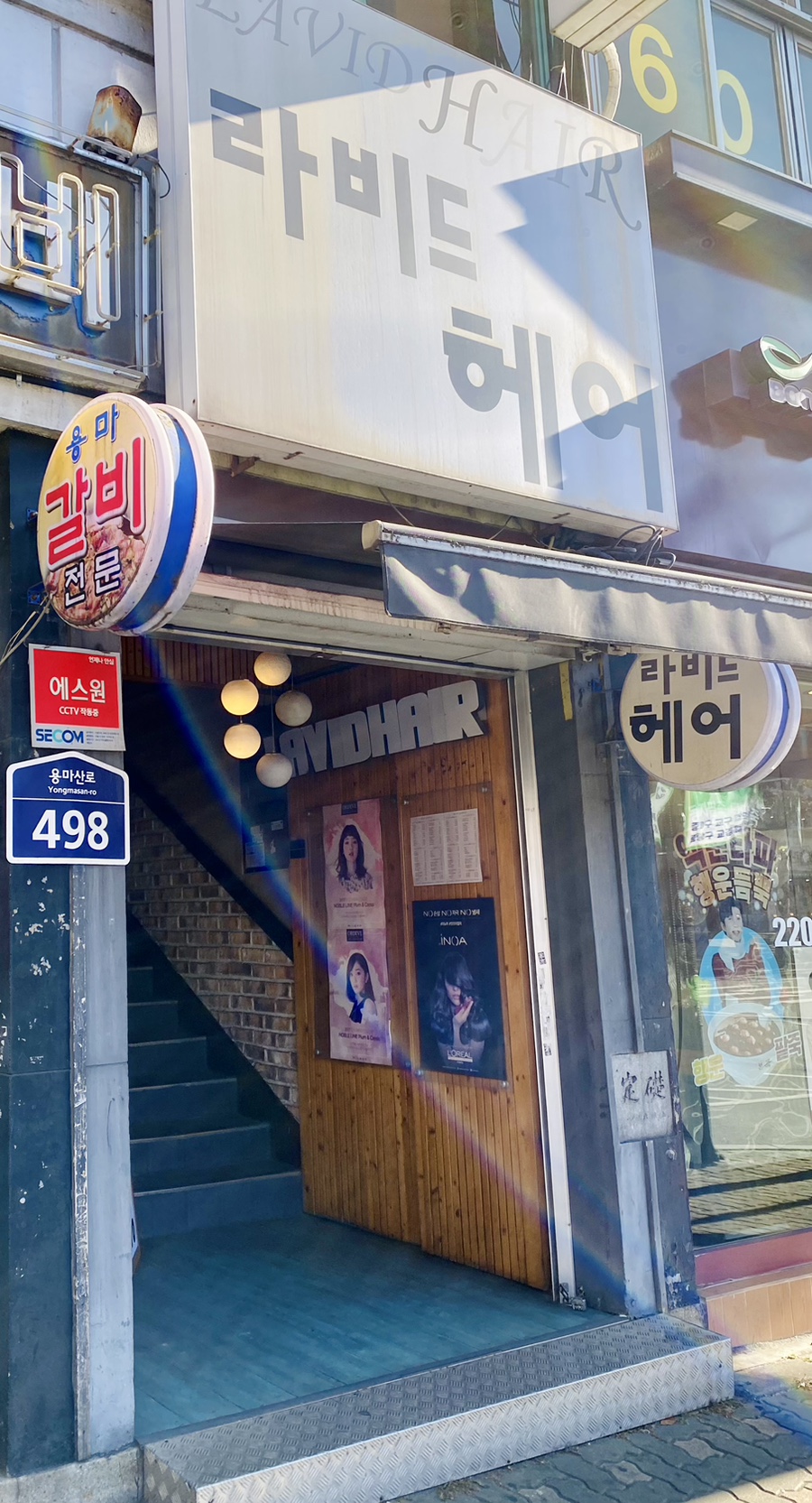 라비드헤어 이미지