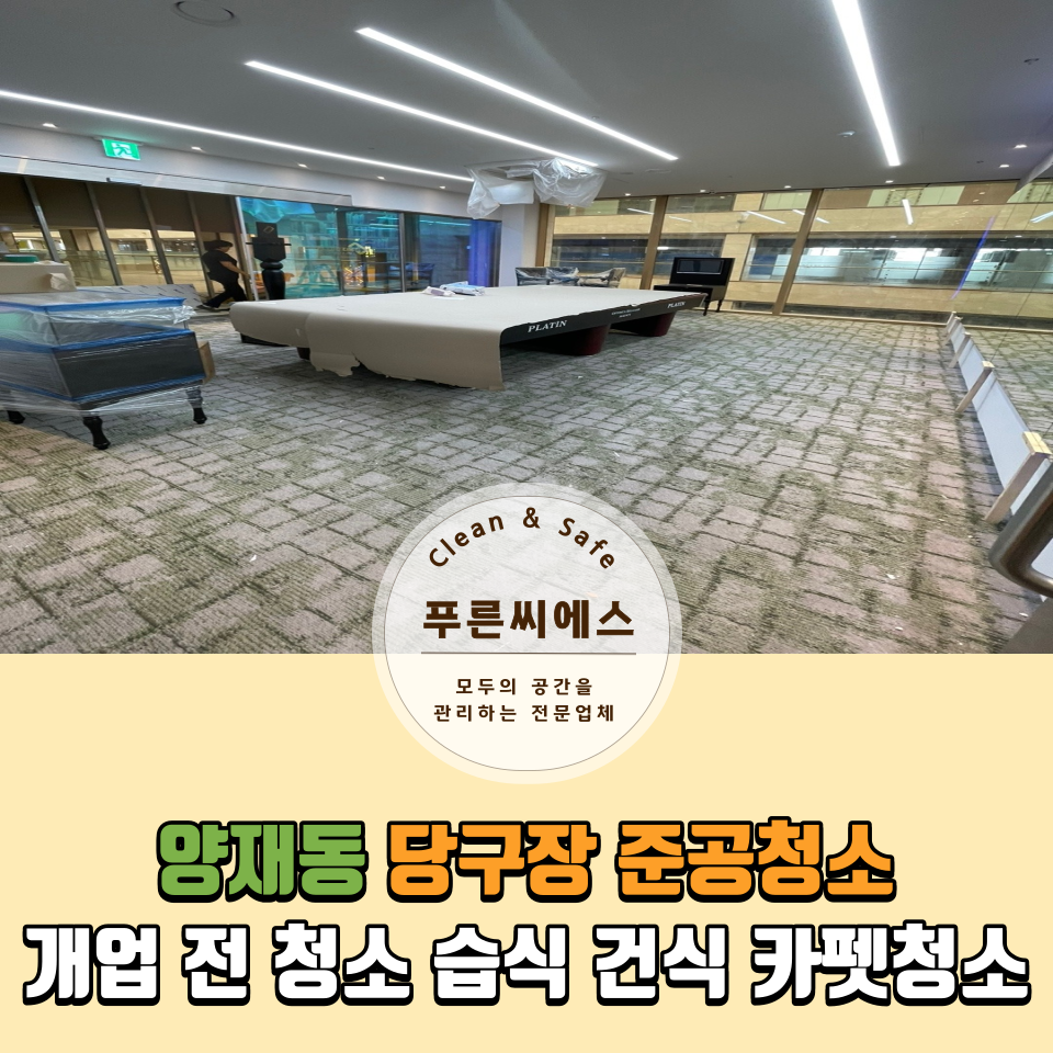 푸른씨에스 이미지