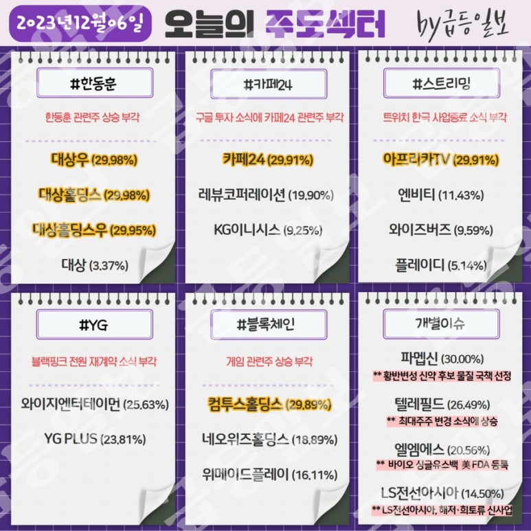 와이지홀딩스 이미지