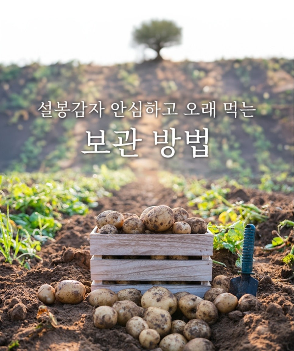 황금농산 이미지