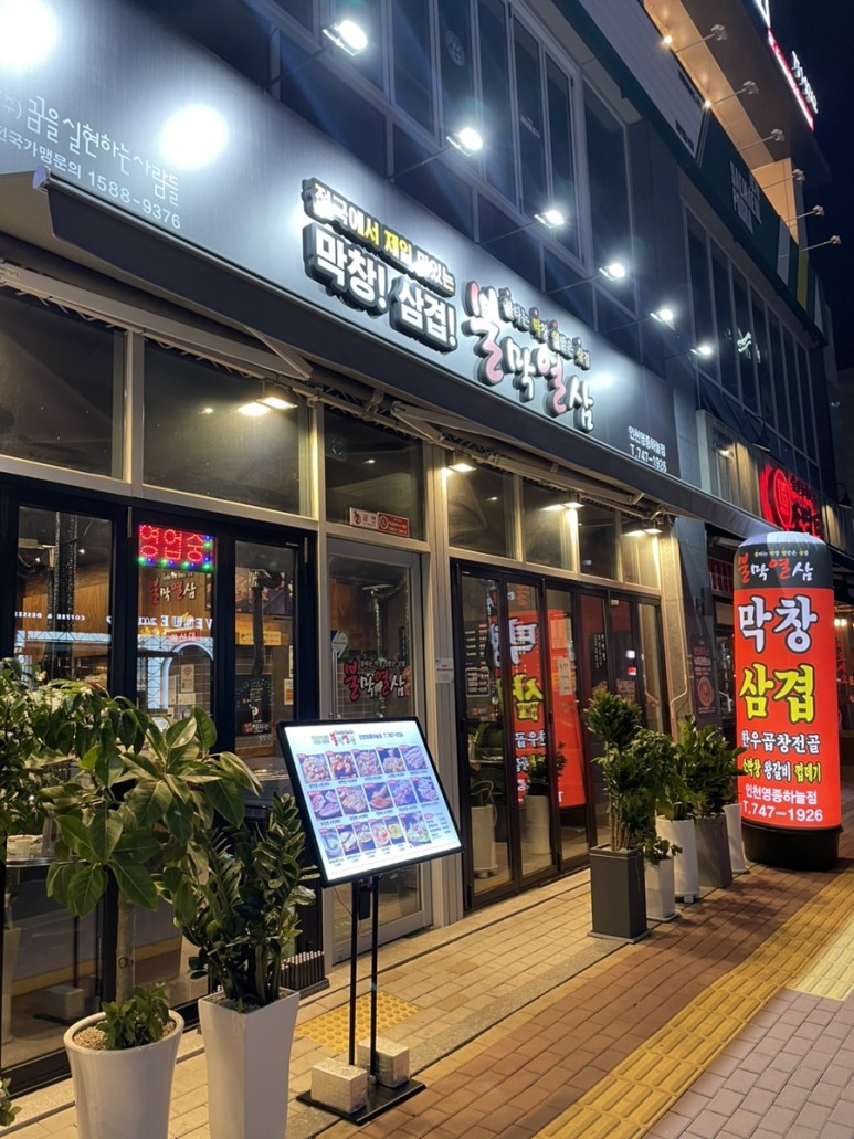 불막열삼 이미지