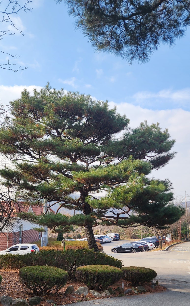 정원치매노인요양센터 이미지