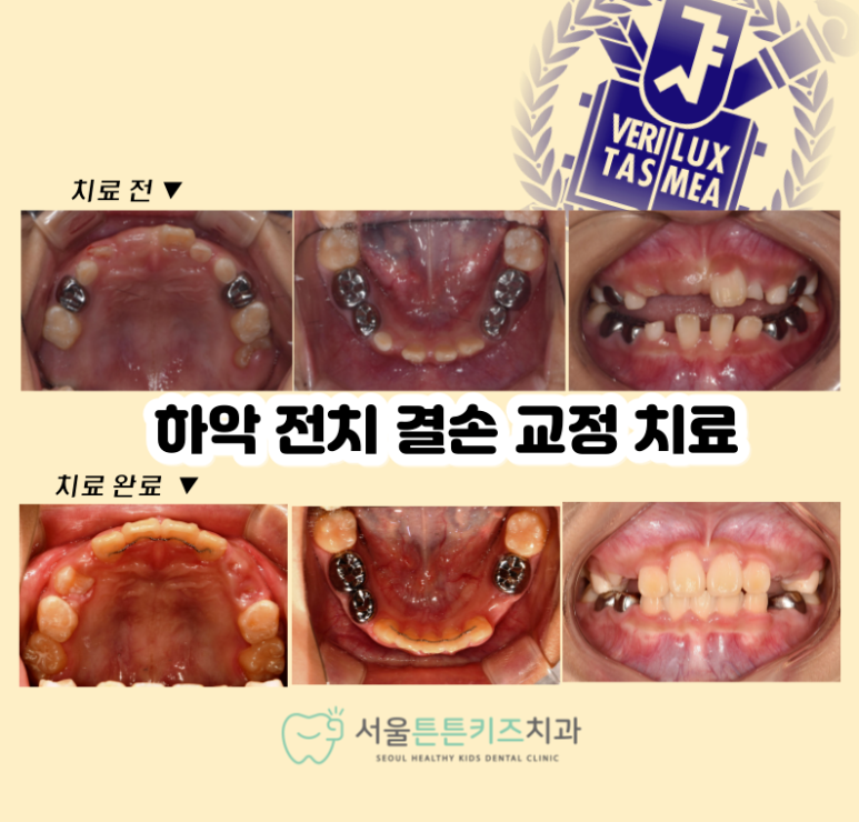 트리지움치과의원 이미지