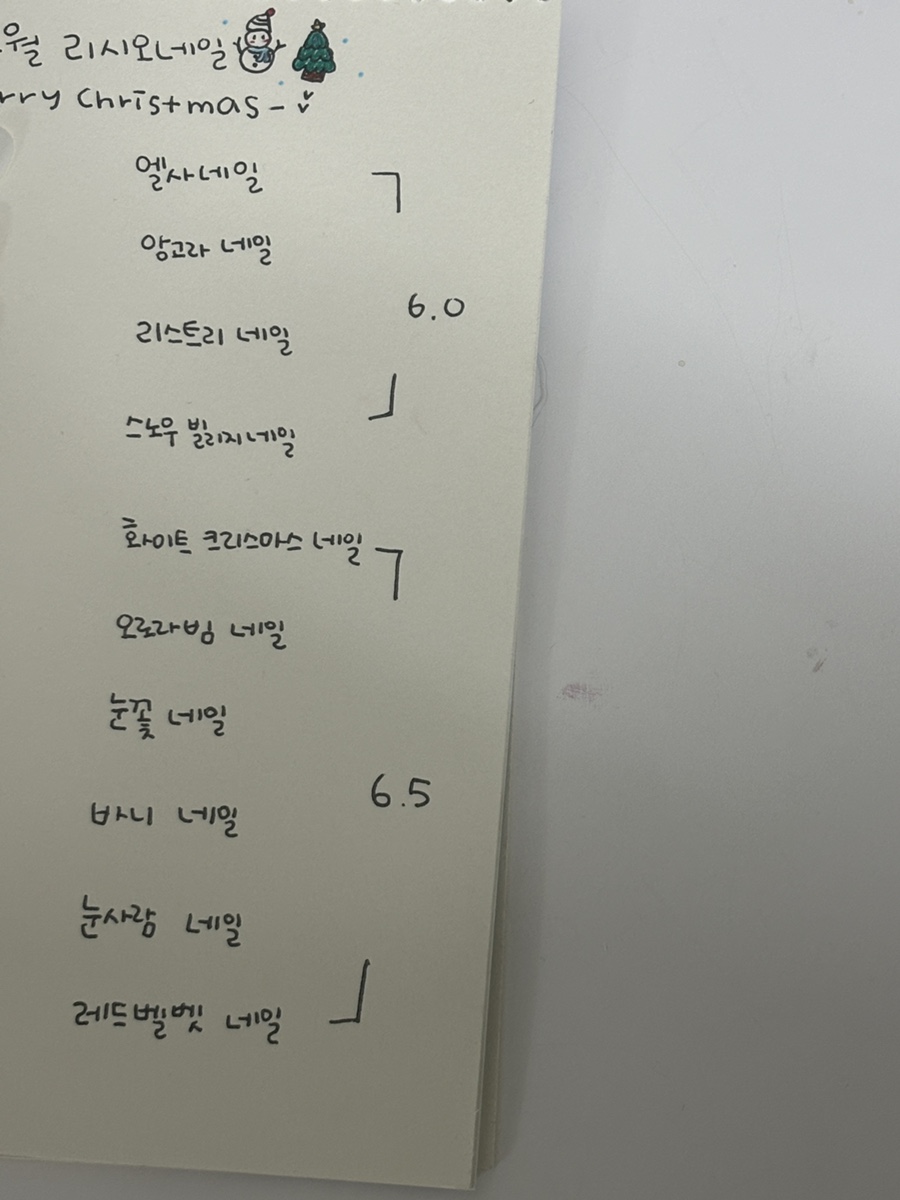 리시오네일 이미지