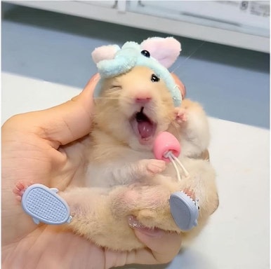 청춘떡볶이 이미지