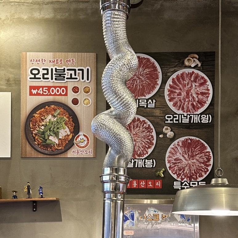 처용산오리 이미지