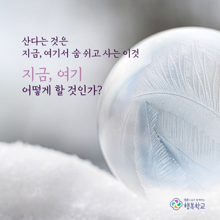 지금;여기 이미지