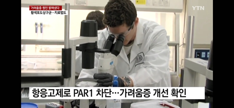 에스에이피부과의원 이미지