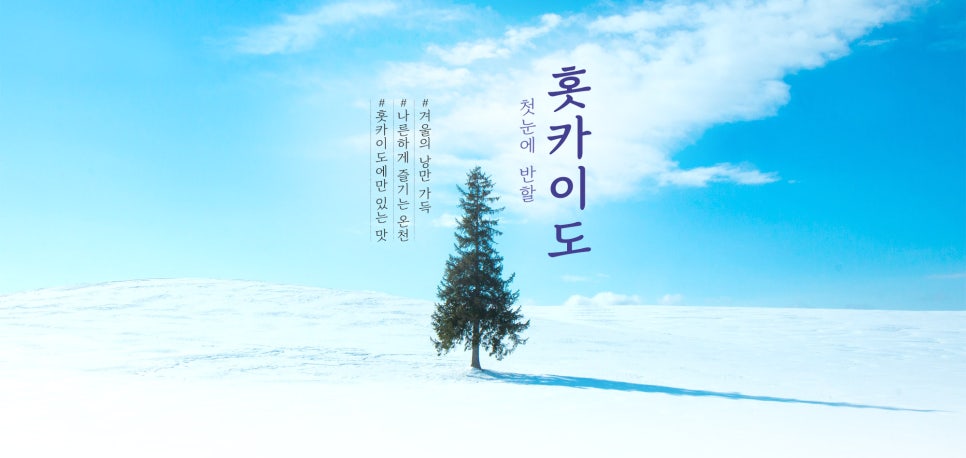 라이드유에스투어 이미지
