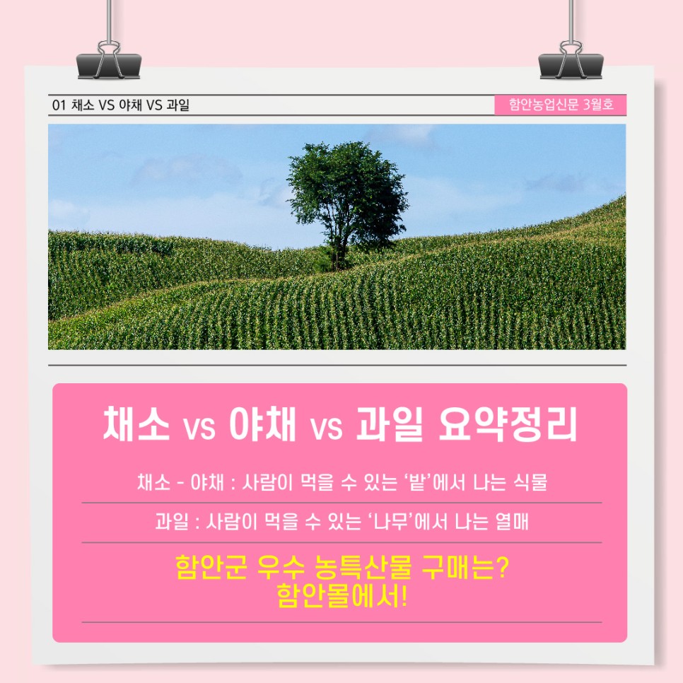 채소밭과일나무 이미지