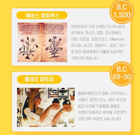 진이아로마 이미지