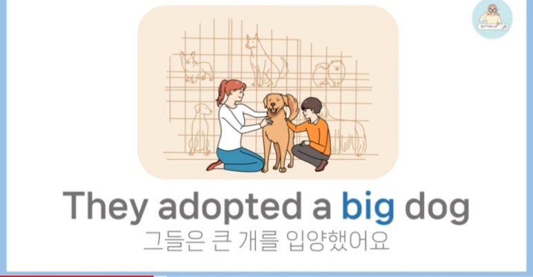 프리패어드 이미지