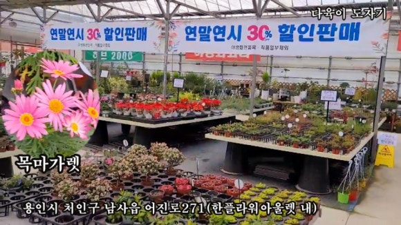 남사물향기야생화 이미지