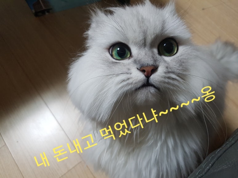 윤하정아구찜 이미지