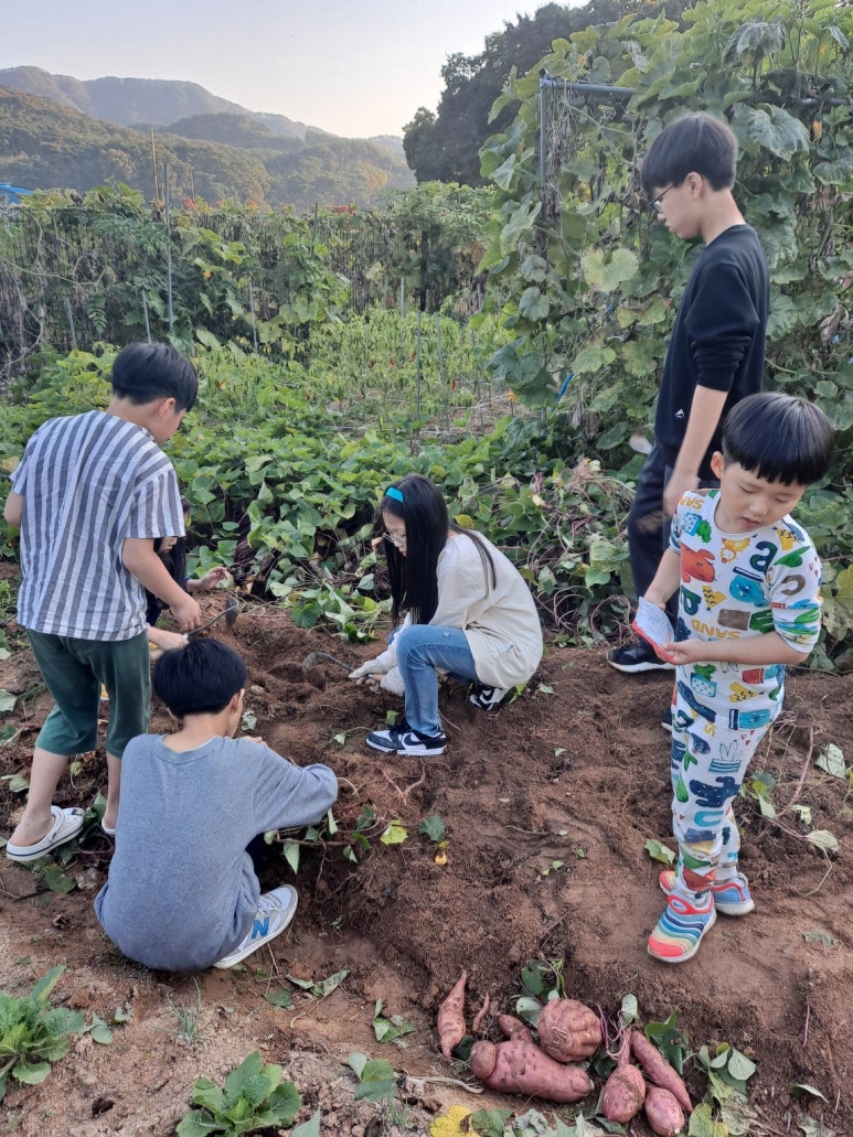 엄마품자연품농촌유학센터 이미지