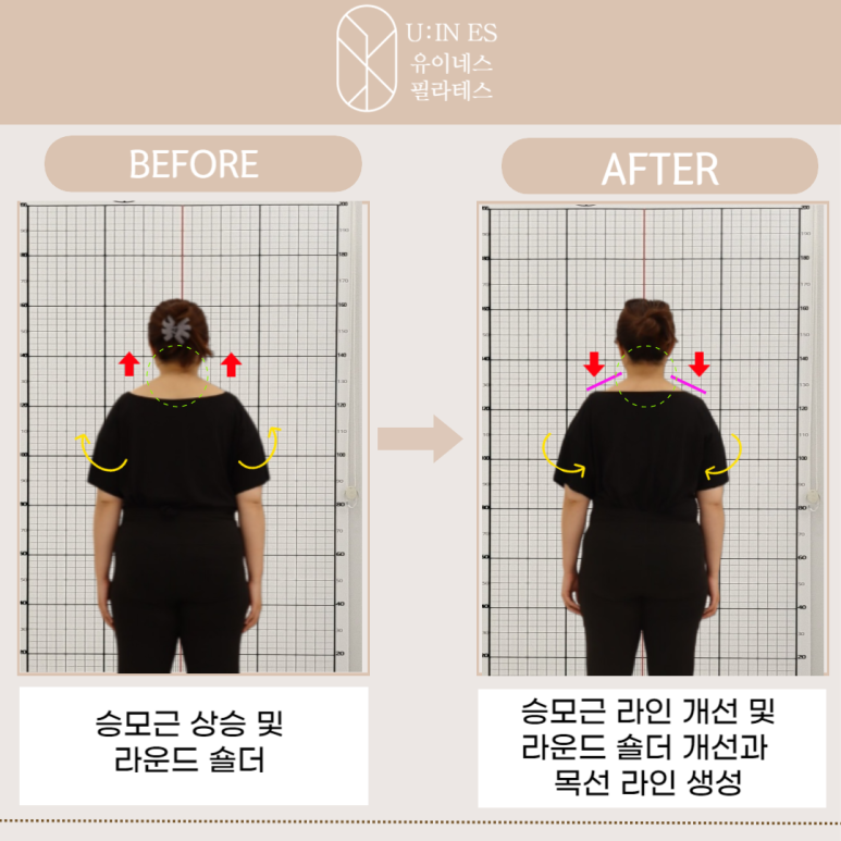 유이네스 이미지