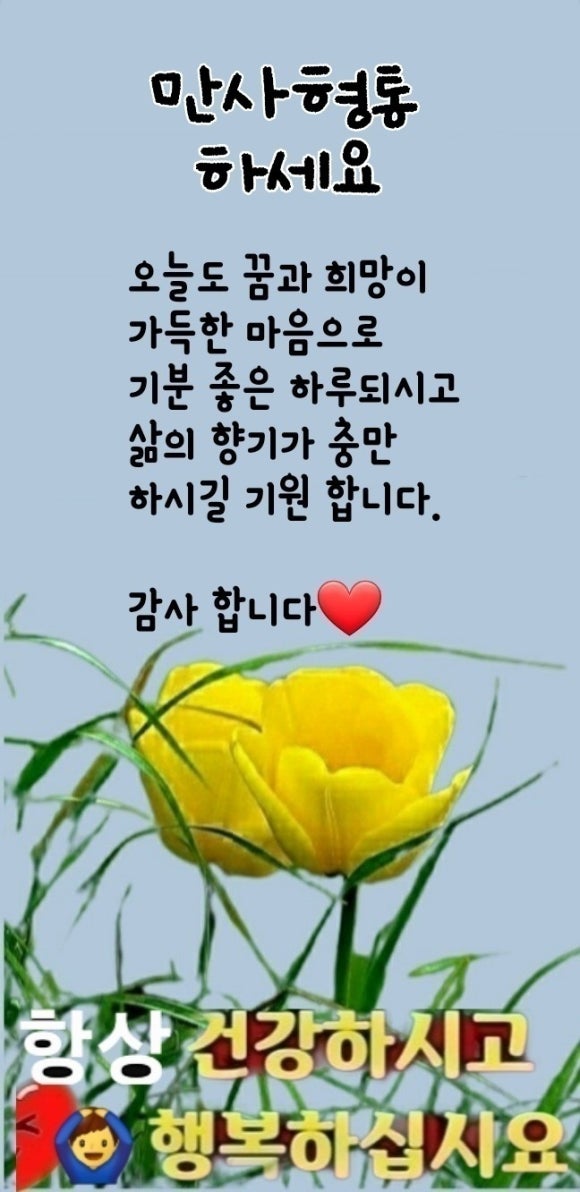 대지샾 이미지