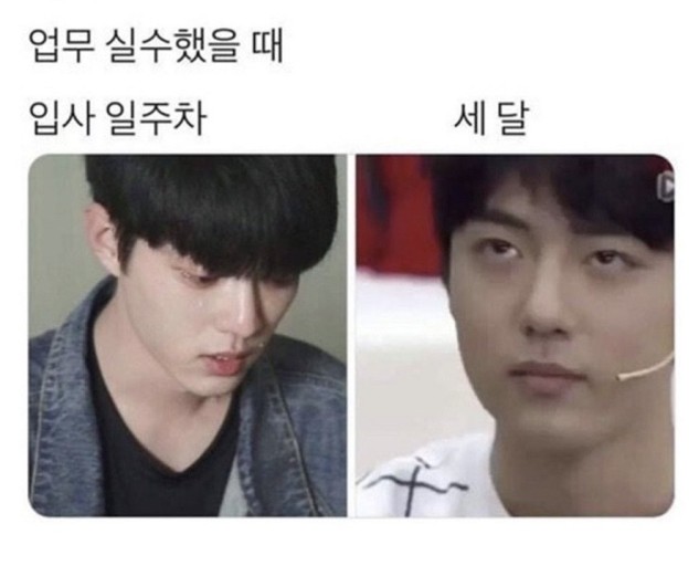 요즘 붕어빵 이미지