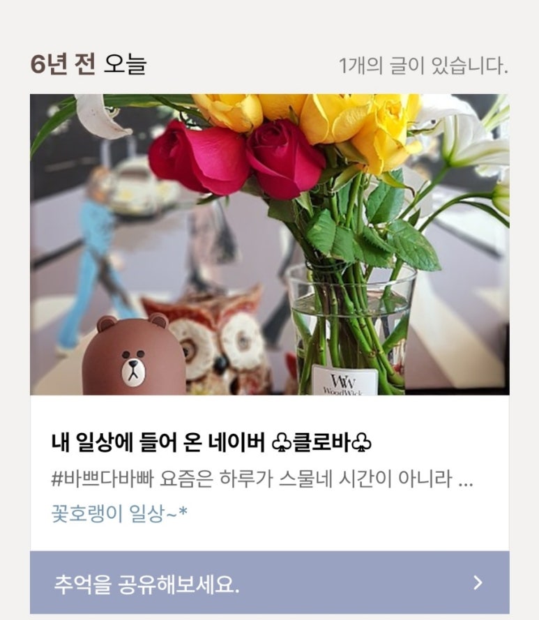 메리플랜 이미지