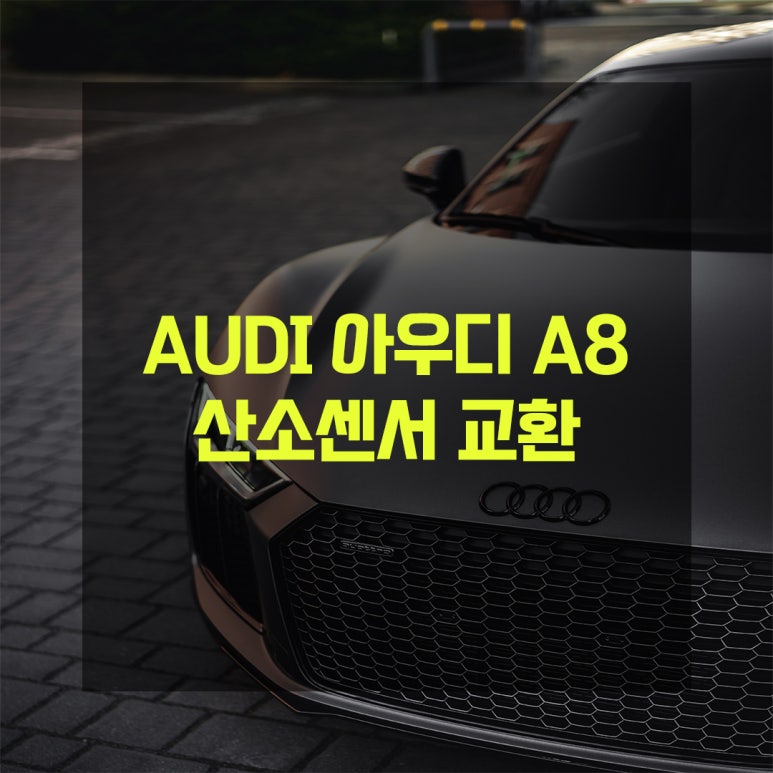 대관령모터스 이미지