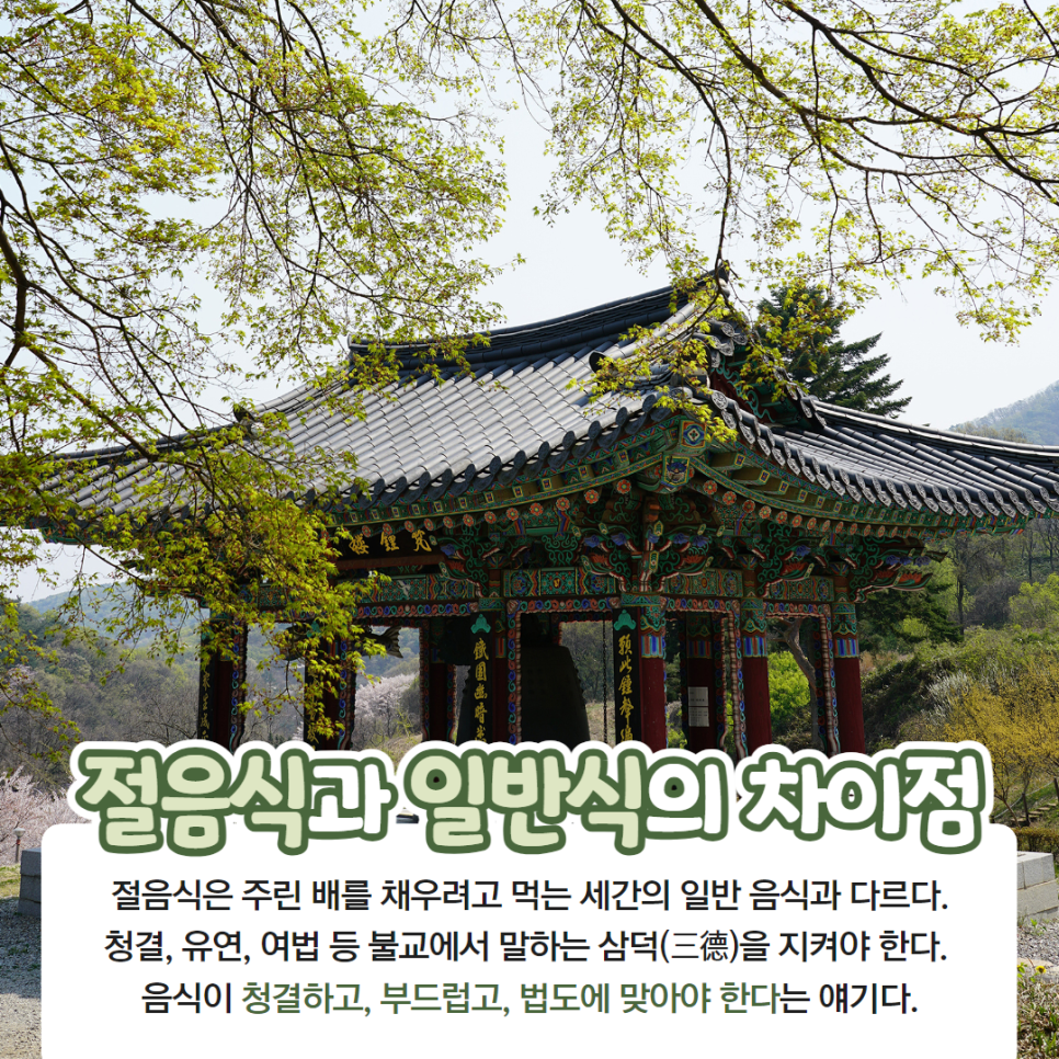 오장전자 이미지