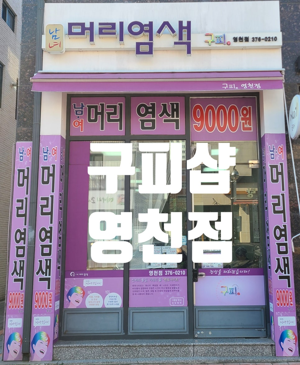 구피샵 이미지