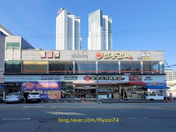 팔용고기 이미지