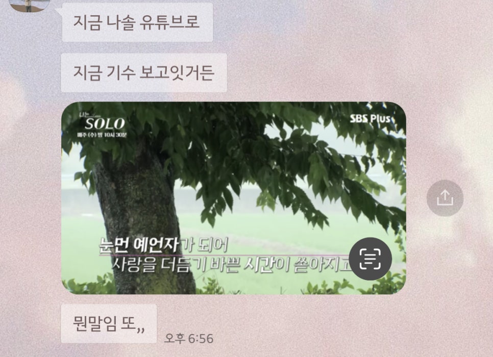 다모아제과 이미지