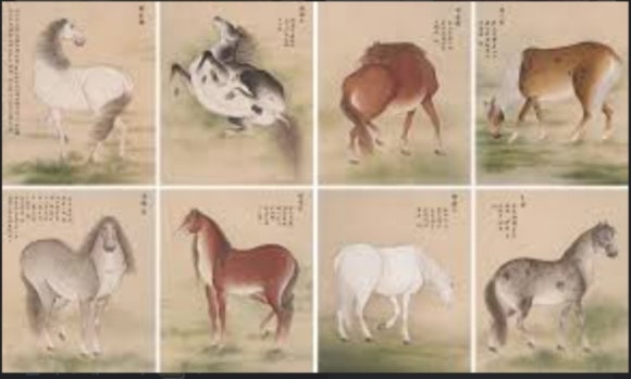 소실화원 이미지