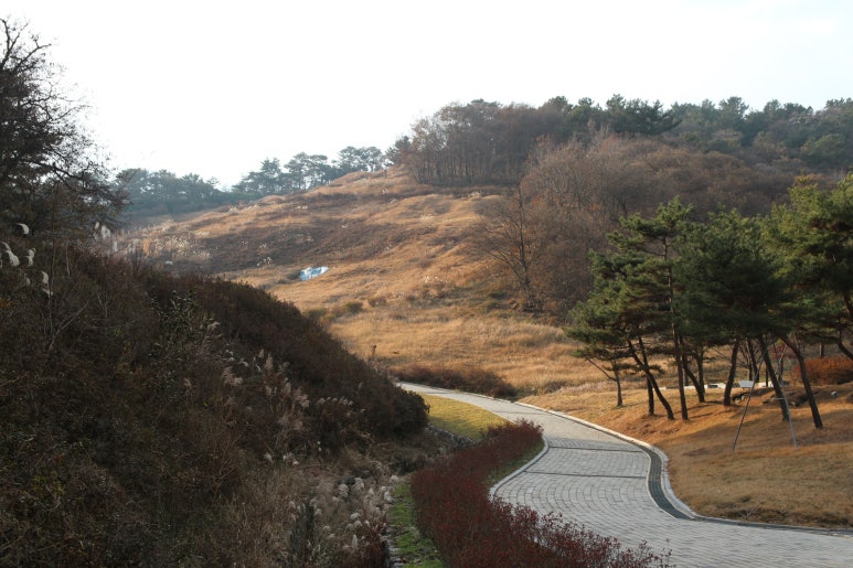금강세공 이미지