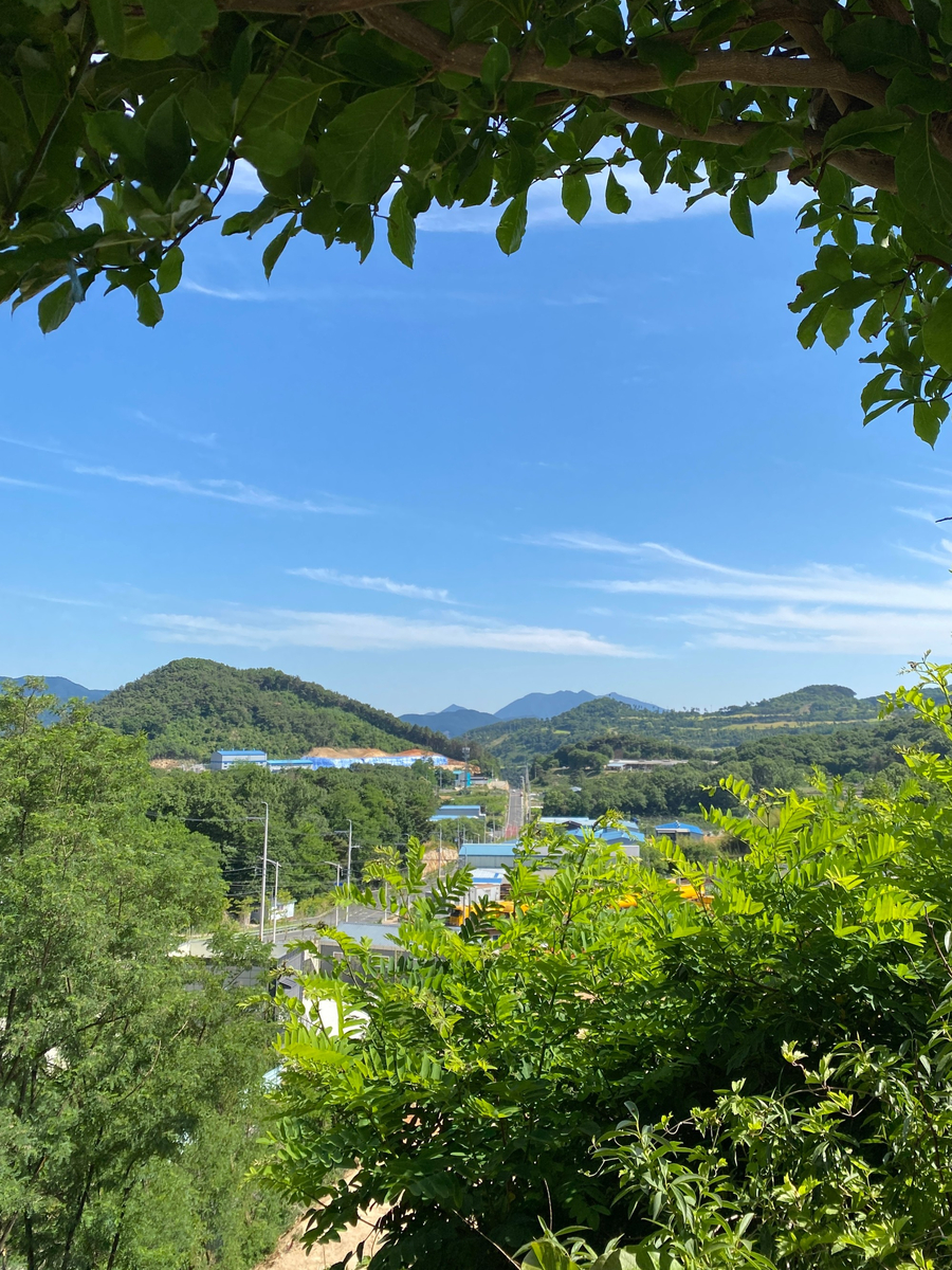 3초삼겹살 이미지