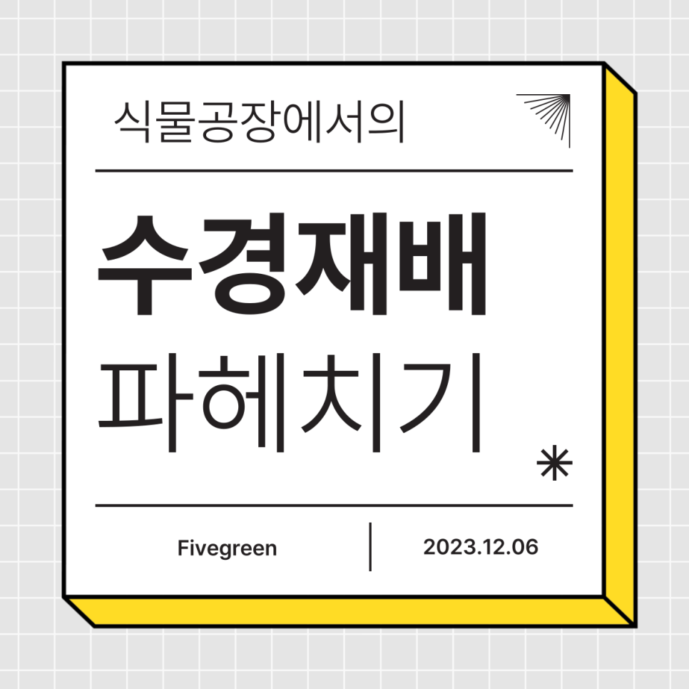 그린파이브 이미지