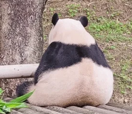 러프팅 이미지