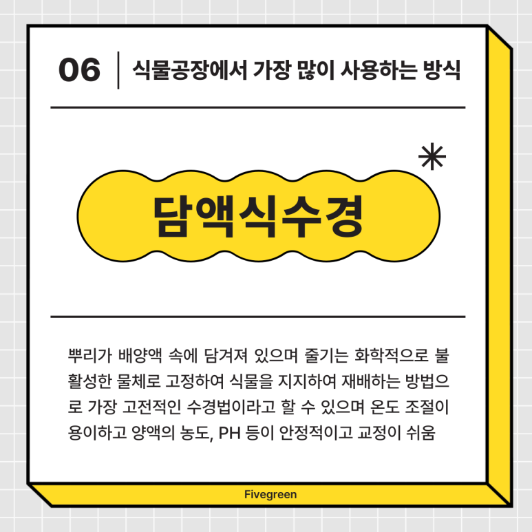 그린파이브 이미지
