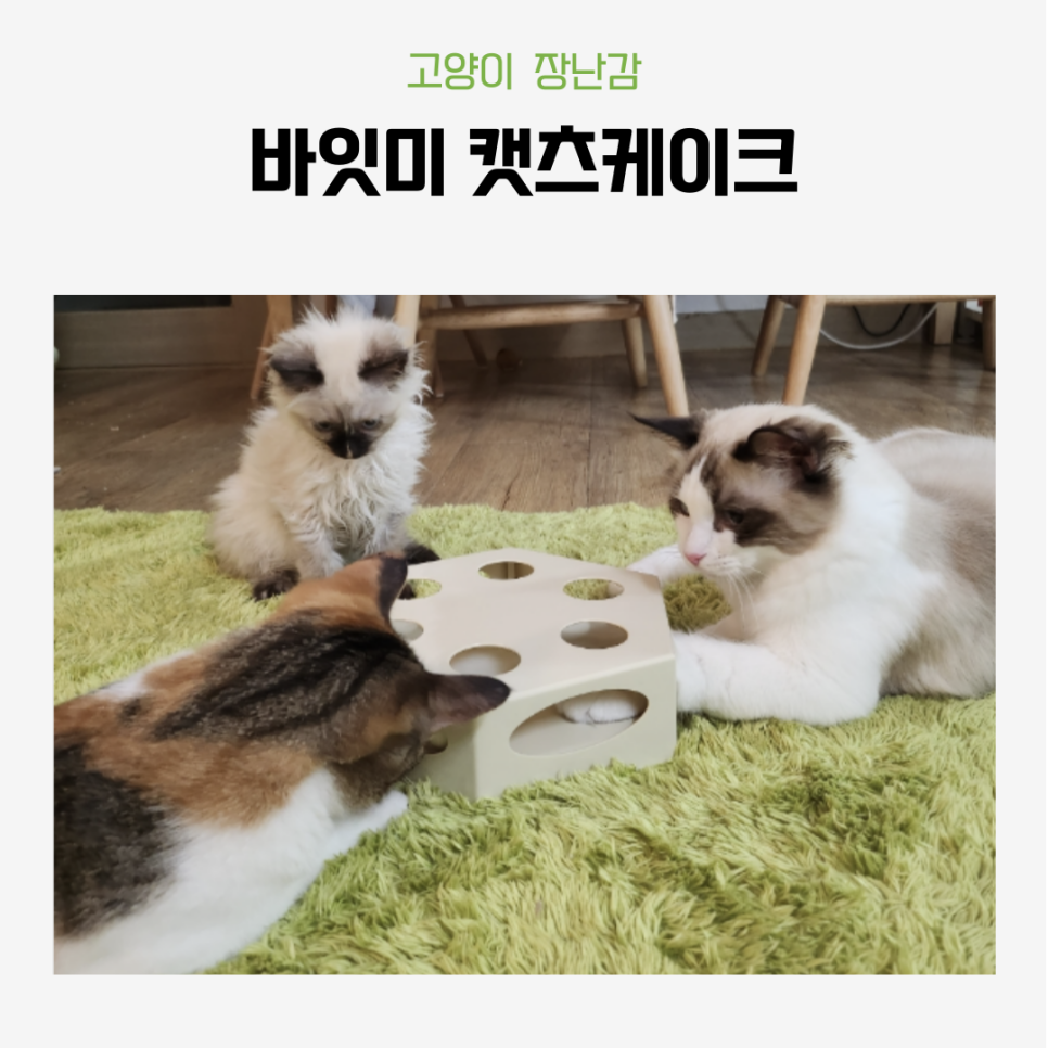 지루미 이미지