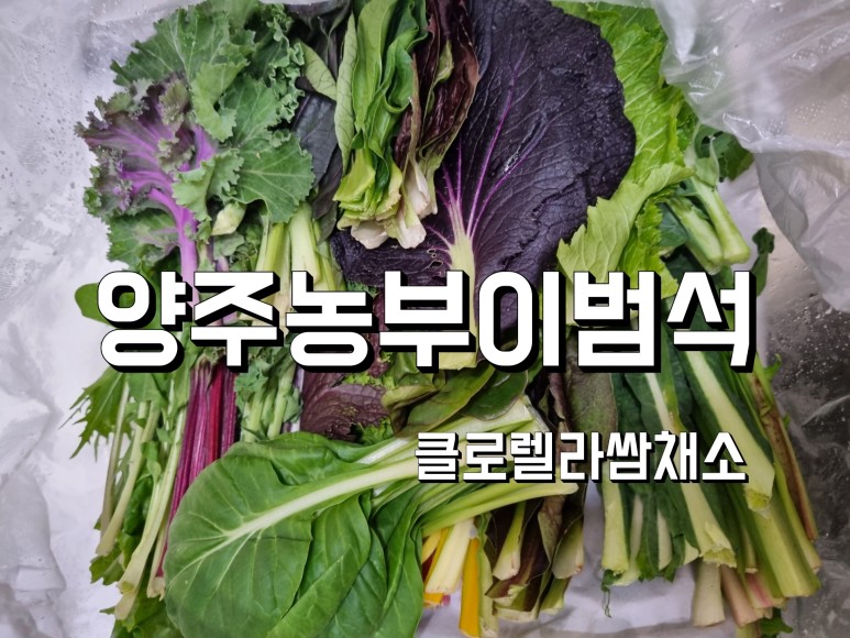 농부고기 이미지