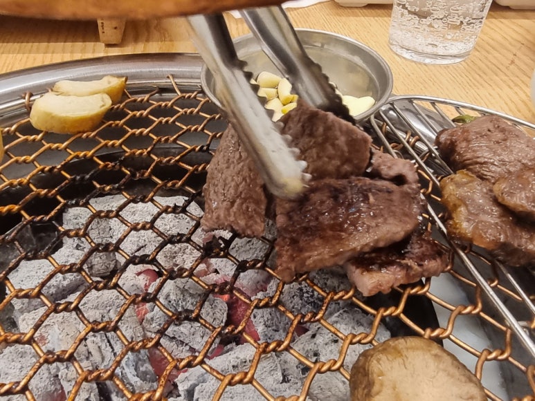 꽃춘삼 사진 3
