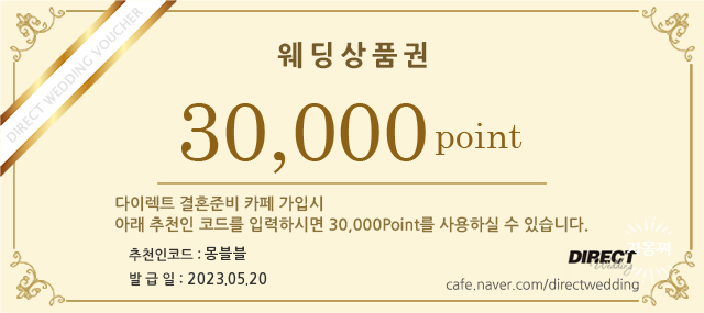 비비드레스 이미지
