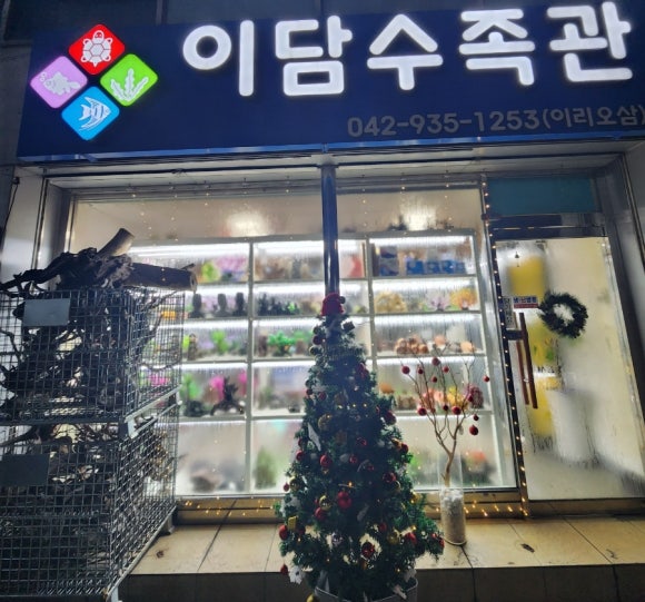 이담수족관 이미지