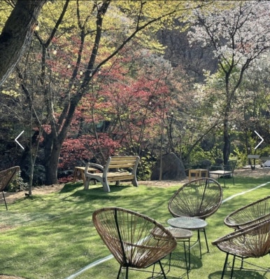 몽쥬이에 이미지