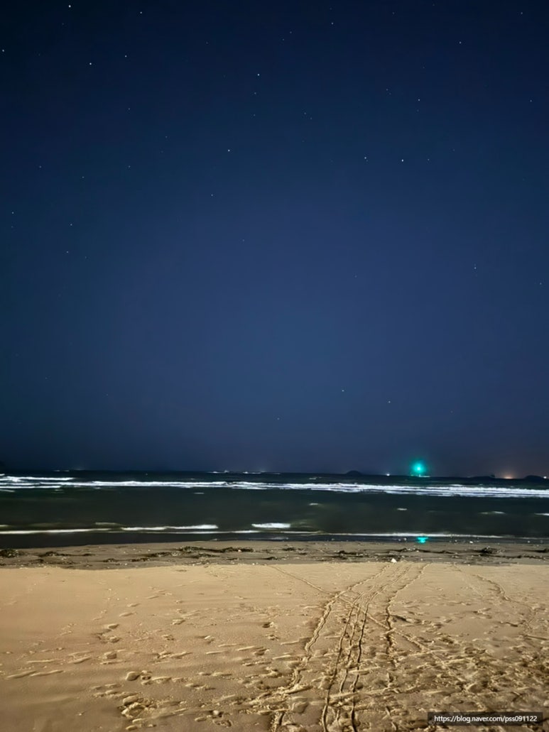 신두리5초 이미지