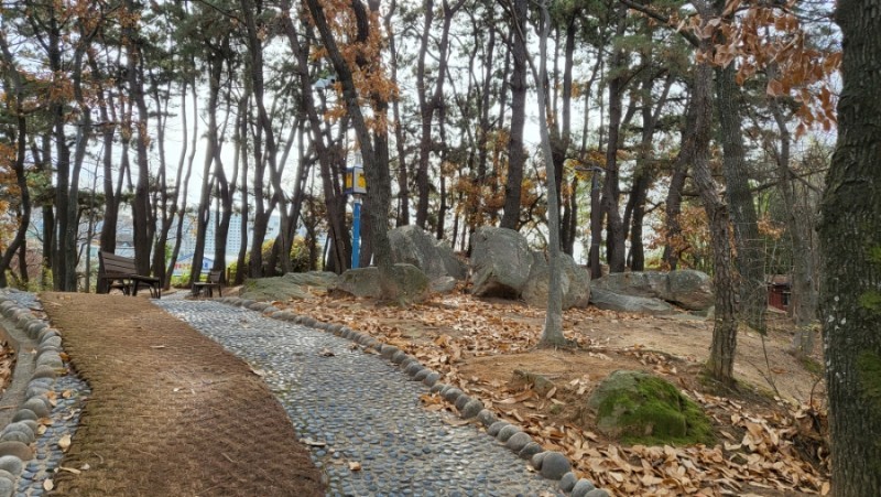 가야축산 이미지