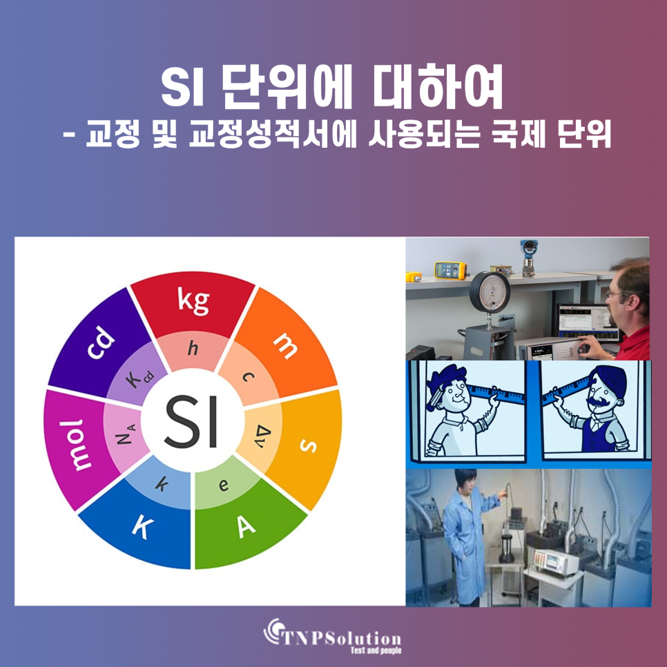 티엔피주 이미지
