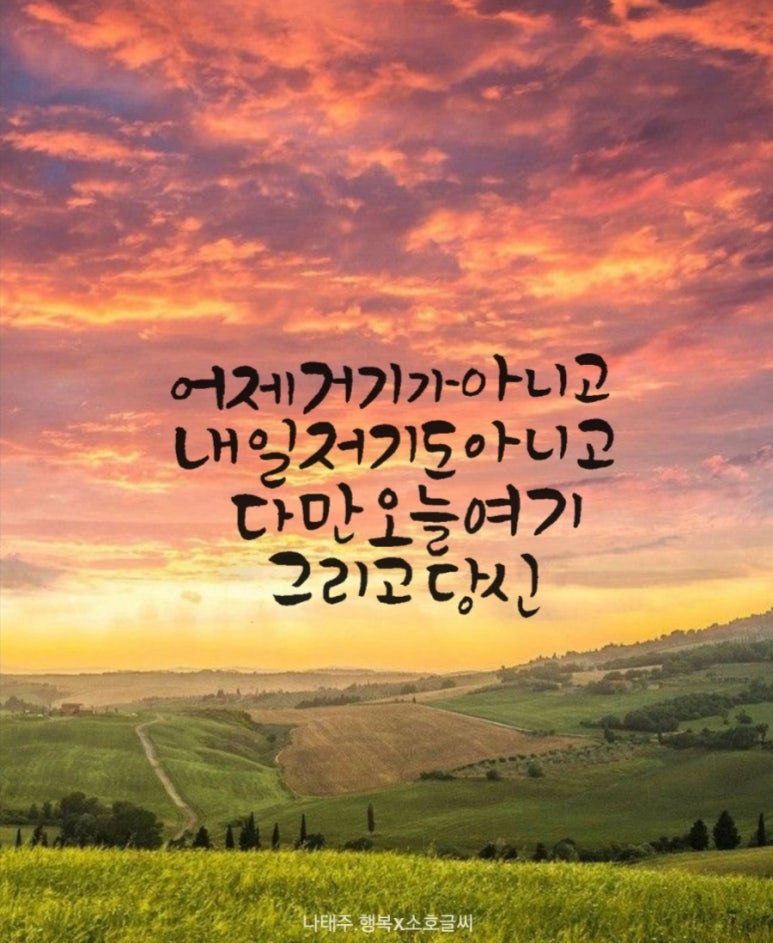 어제거기 이미지