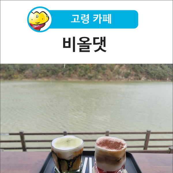 비올댓 이미지